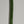 Load image into Gallery viewer, 5" Stick