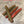Load image into Gallery viewer, Ned Turd