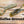 Load image into Gallery viewer, 3.5" Buzz Frog