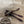 Load image into Gallery viewer, 3.6" Flattail