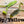Load image into Gallery viewer, 3.5" Buzz Frog