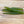 Load image into Gallery viewer, Jittermite