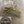 Load image into Gallery viewer, 3.6" Flattail
