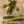 Load image into Gallery viewer, Ned Spade Tail