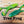 Load image into Gallery viewer, 3.5" Buzz Frog