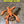 Load image into Gallery viewer, Ned Craw