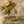 Load image into Gallery viewer, Ned Spade Tail