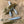 Load image into Gallery viewer, Ned Craw