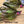 Load image into Gallery viewer, Poison Tail Jig