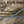 Load image into Gallery viewer, 6.5'' Fat Tail Worm