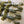 Load image into Gallery viewer, Spider Neds