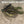 Load image into Gallery viewer, Grass Jigs